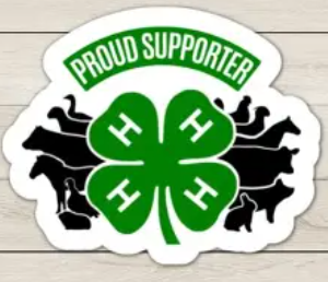 4H logo