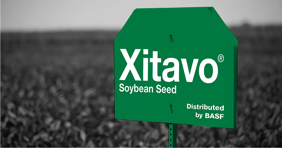 soy bean sign